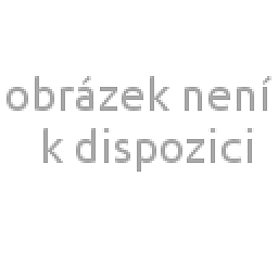 Obrázek pro produkt Button cannula 1.0 x 80 mm curved B, LL, 50pcs